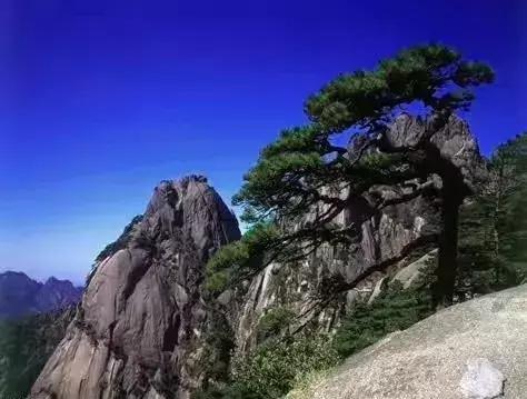 珠海冬季风景,南方冬天自然美景珠海