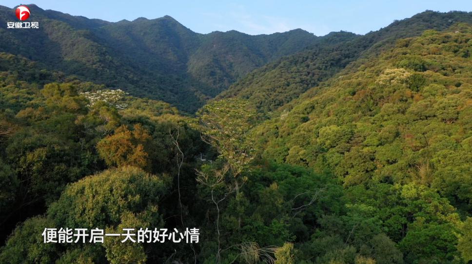 甜蜜521后，《民宿里的中国》在深圳继续为你狂撒糖