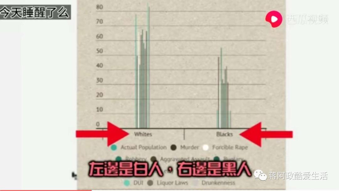可怜之人必有可恨之处——辩证看待美国黑人遭遇的不公