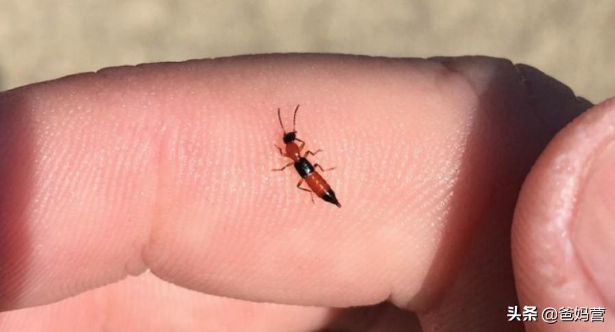 妈妈一拍小孩差点毁容,妈妈拍到孩子的恐怖画面