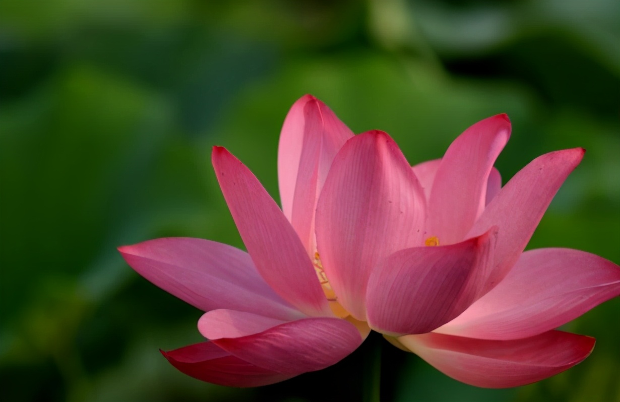 人过五十要学会做什么,活得明白的人的思维方式