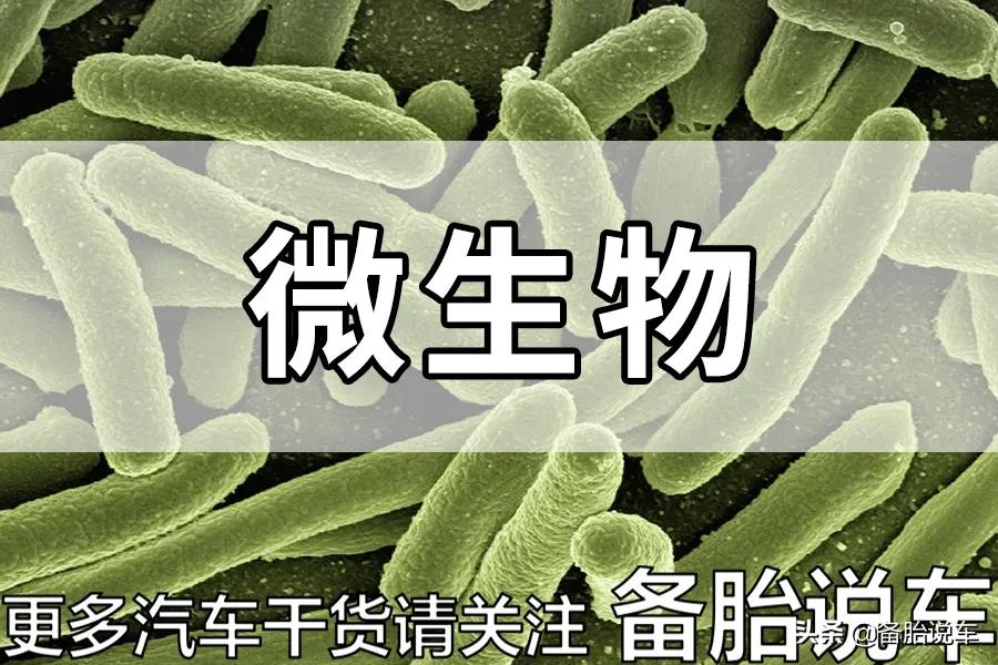 4s店一般清洗空调多少钱,500元洗11次车