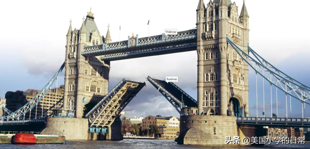 可以科普各类知识的免费app,有哪些免费的知识平台