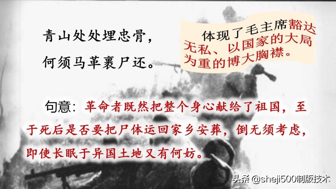五年级下册青山处处埋忠骨的预习,五年级语文11课青山处处埋忠骨