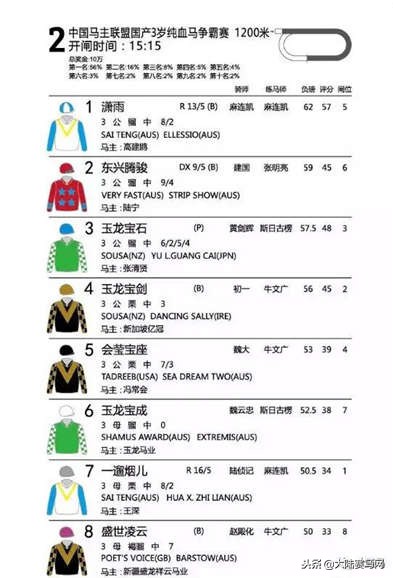 “苏萨”子嗣“玉龙宝石”问鼎马主联盟国产3岁纯血马争霸赛冠军