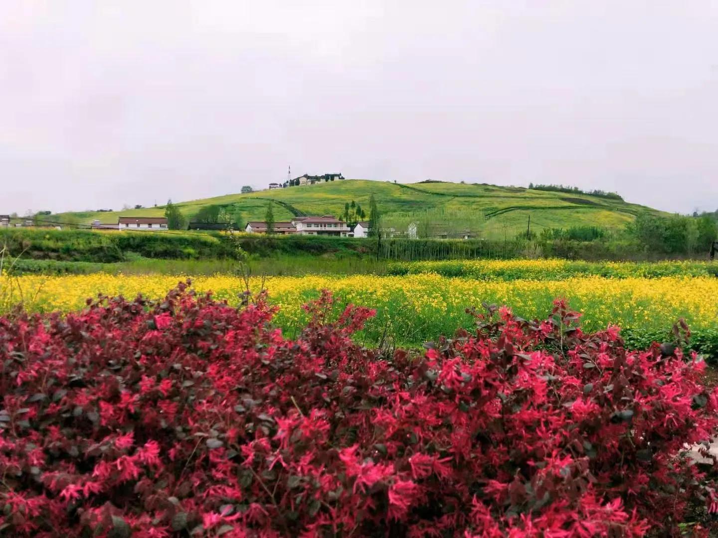 春天真美啊美得像什么,春天真美呀补充完整句子
