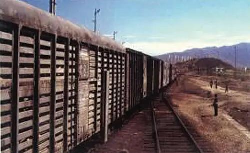 三趟快车|不为人知的“赶车人”（二）