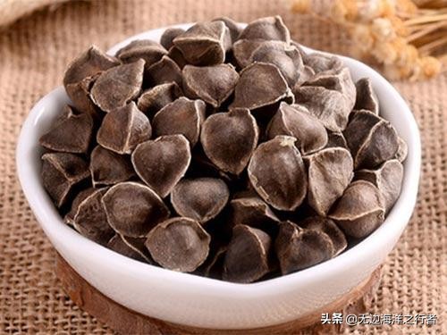长期吃辣木籽真的有那么神吗,辣木籽味道有科学依据吗