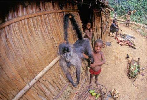 狗肉究竟该不该吃狗肉争议不断,狗肉究竟该不该吃