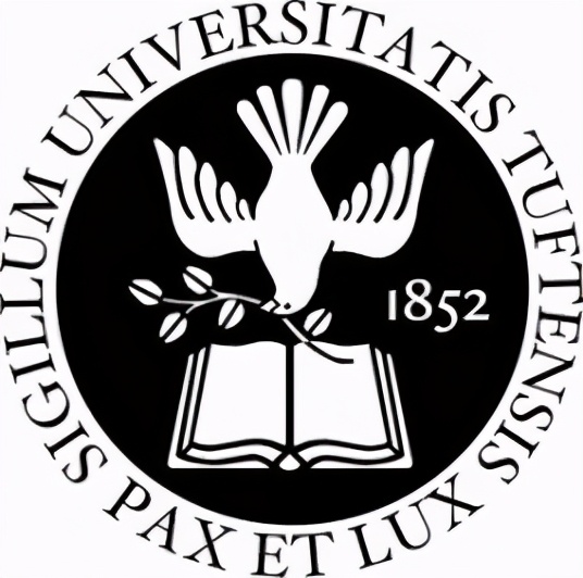 新常春藤大学,新常春藤