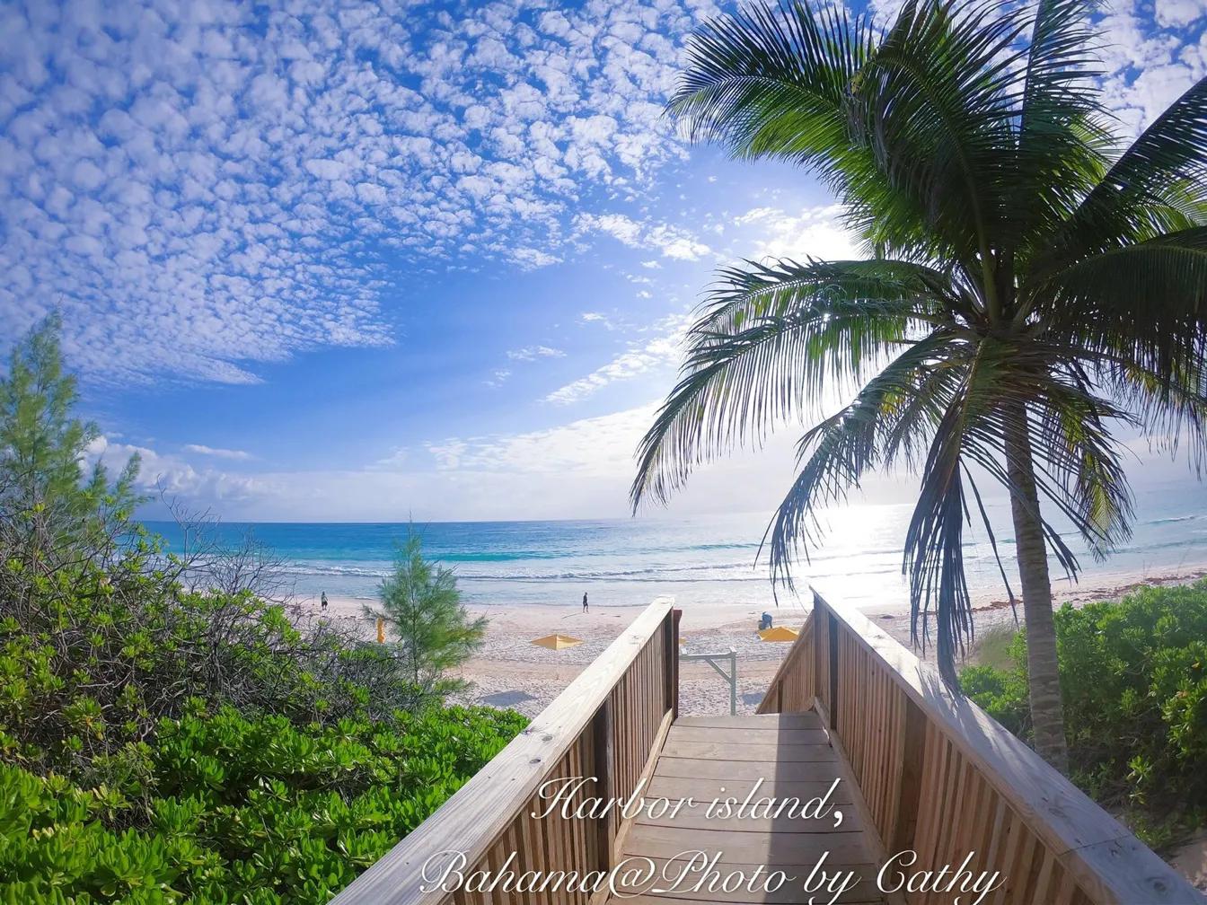 巴哈马粉色沙滩攻略,巴哈马粉沙滩