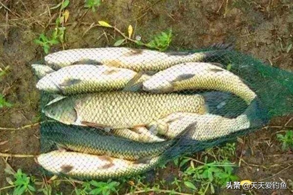 滑漂钓法线组的搭配方法,滑漂钓法怎么选线组