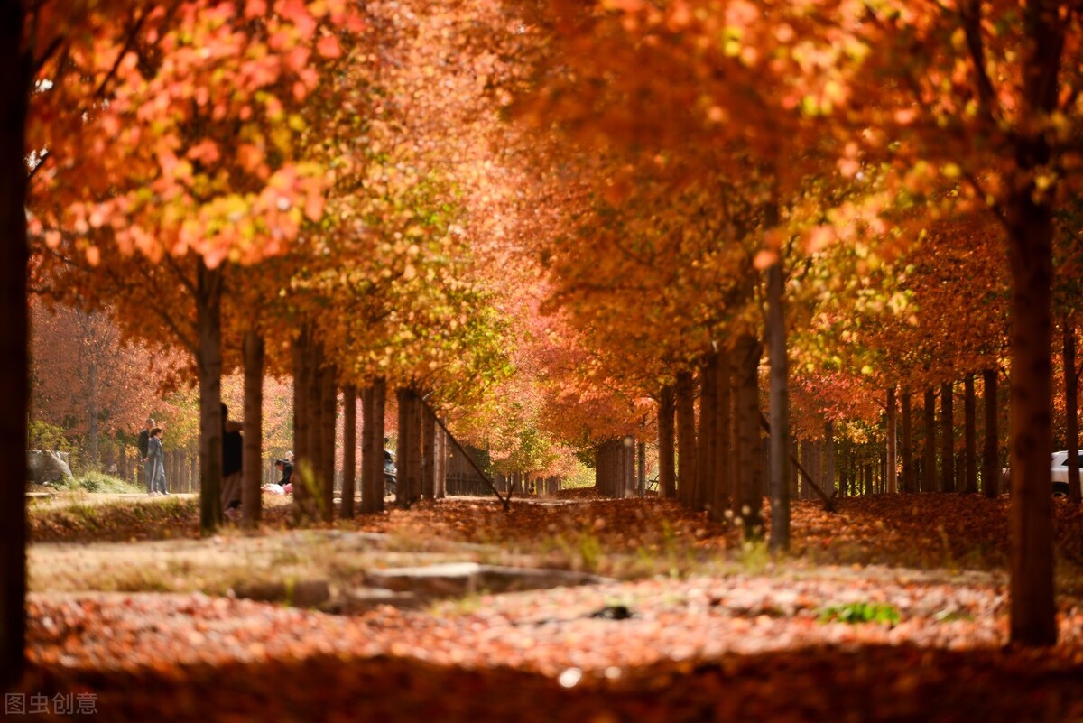 蝴蝶堂｜新美婷：禧绣系列，钩织出一片独属于你的“桃花源”