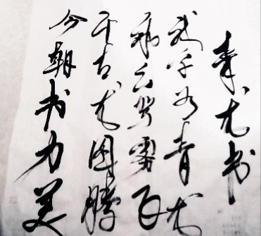 书法龙图腾作品,书法图腾