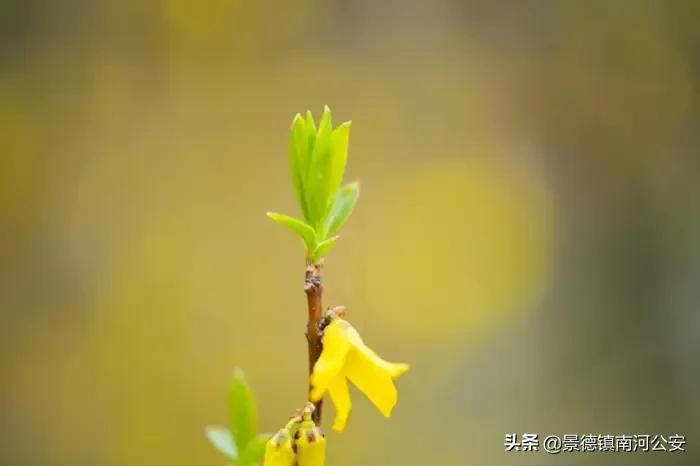 诗词｜腹有诗书气自华，一生必读的180首诗词！（值得收藏）