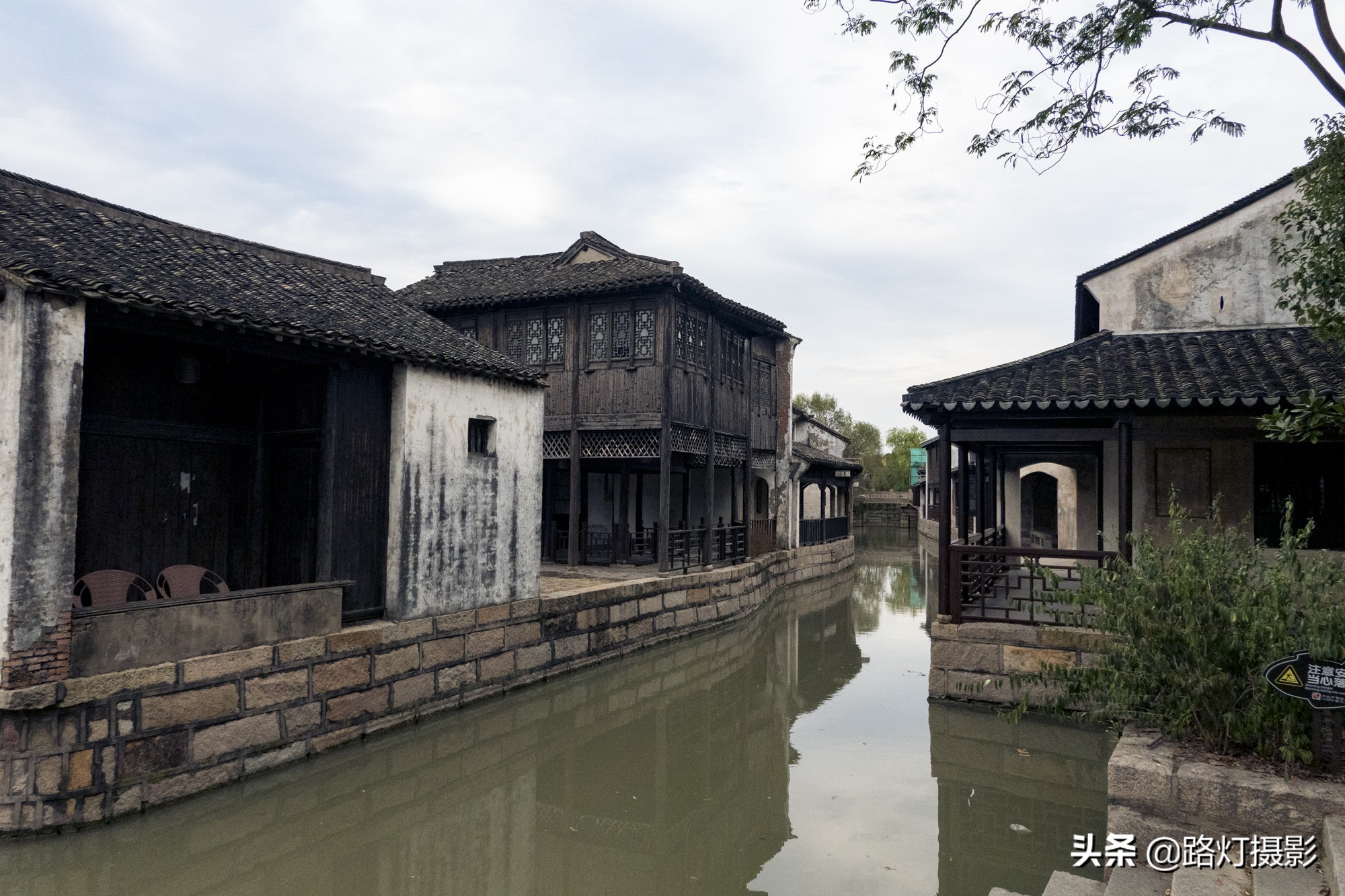沙家浜秋色,沙家浜秋天芦苇荡