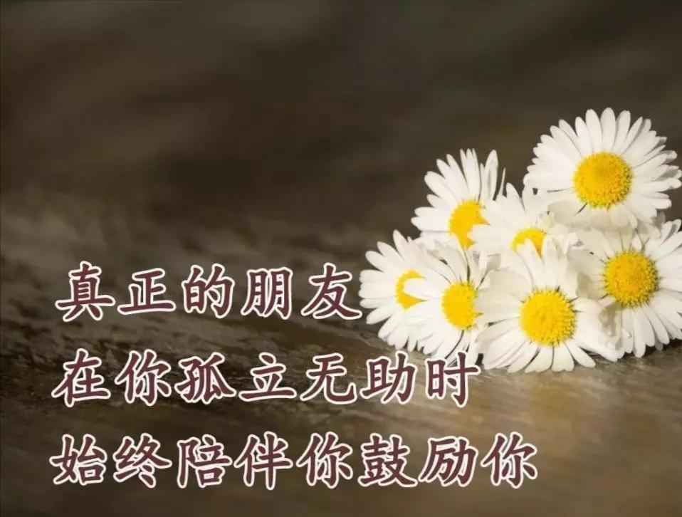 朋友认识你真好经典语录,朋友认识你真好诗歌朗诵