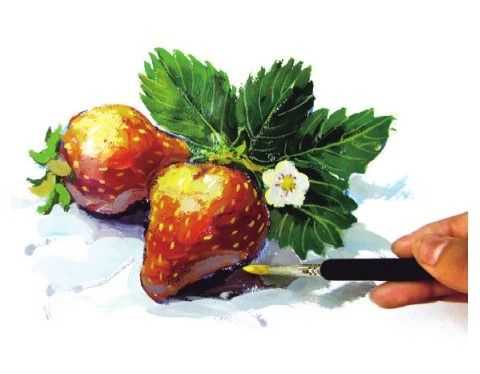 透明碗装草莓水粉怎么画,怎么用水粉颜料画草莓