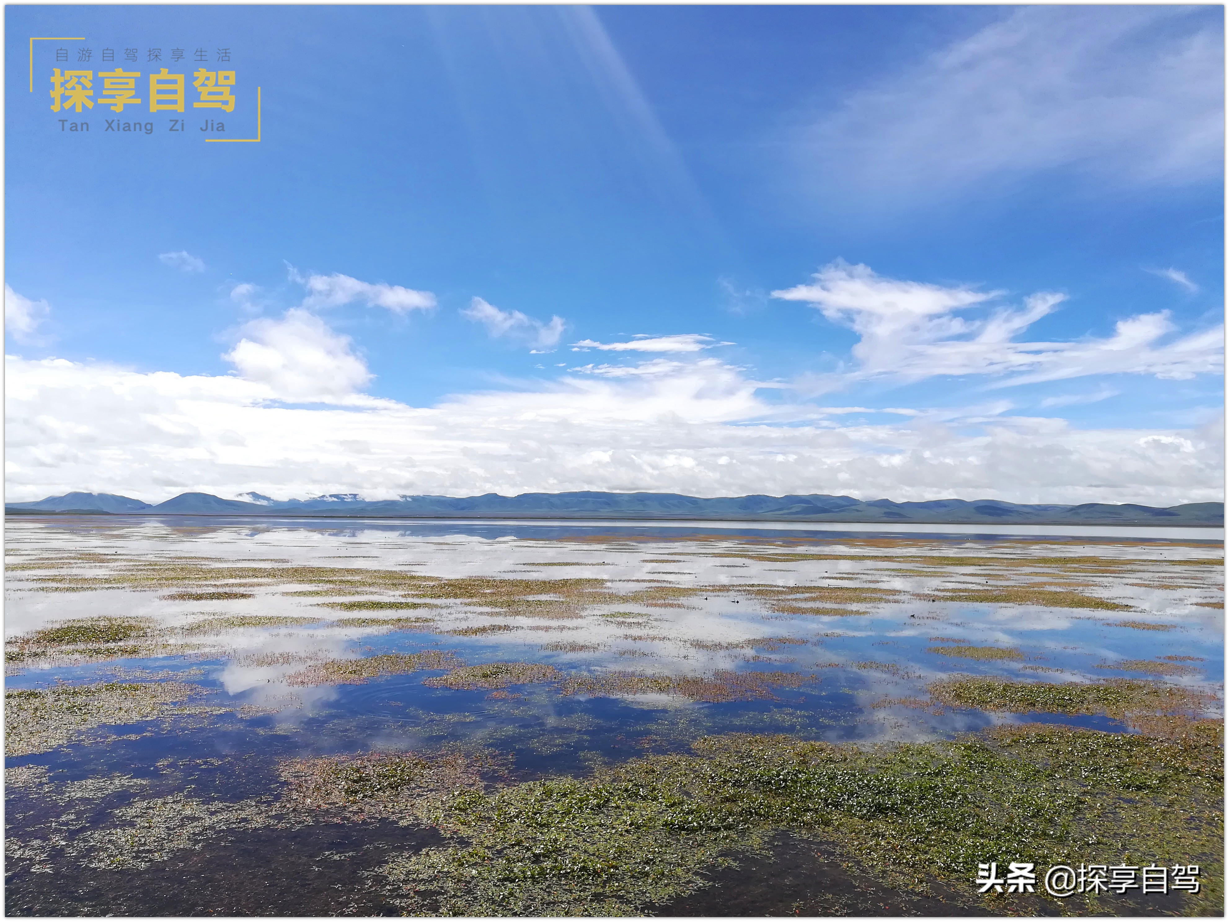 自驾游旅行社应该提供哪些项目,旅行社应当如何规避自驾游风险