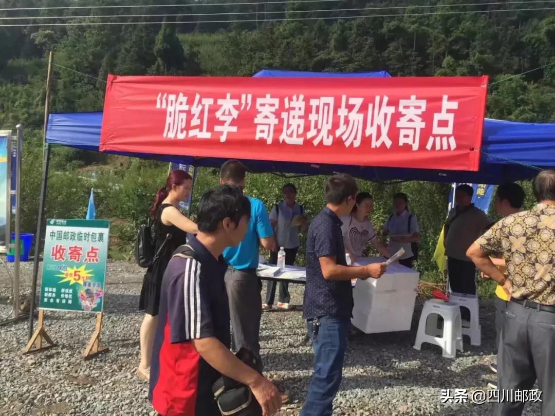 山外有山蔺州远，惠农助农“邮”办法