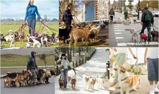 武汉有趣的工作,武汉新型副业项目