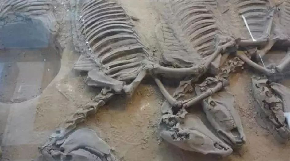 鬼吹灯里九层妖塔图片,鬼吹灯里面的9层妖塔是干什么的