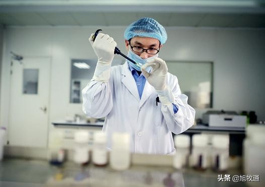 欧维素预混料推荐配方,欧维素预混料价格表