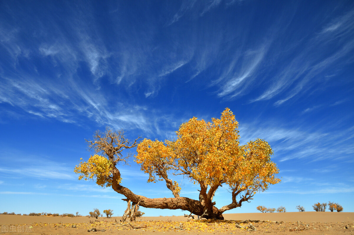自驾青海沙漠旅游路线攻略,青海七彩丹霞自驾游攻略