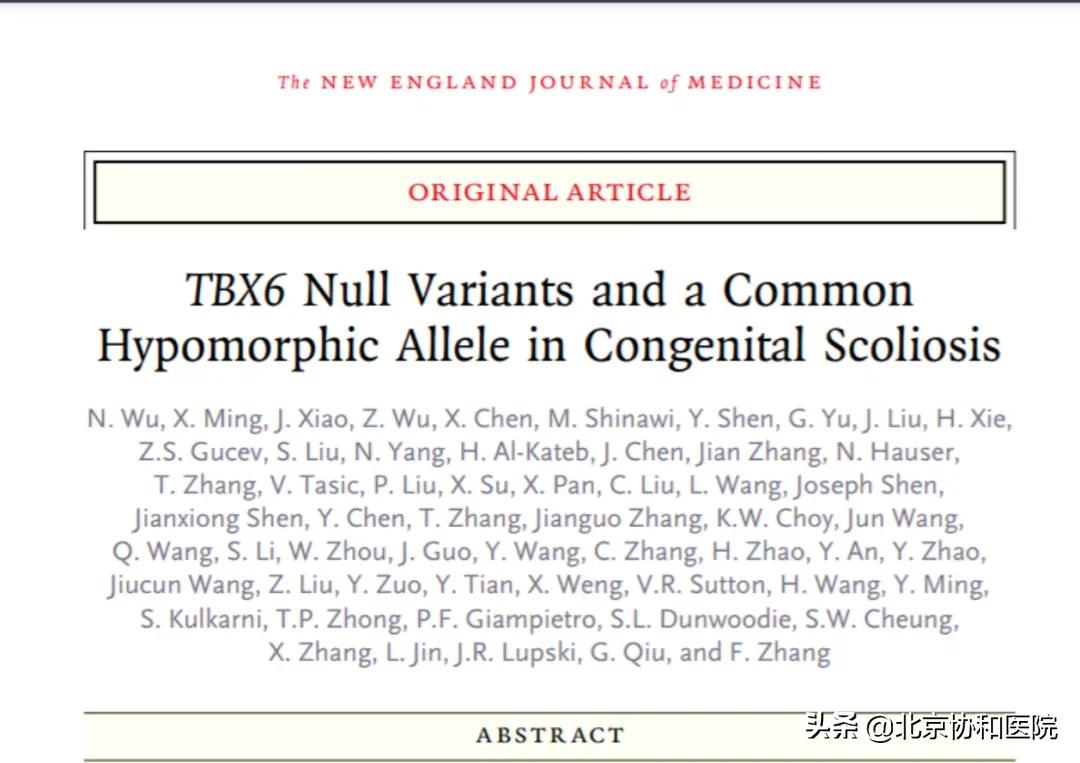 仉建国协和骨科专家,仉建国脊柱侧弯矫正