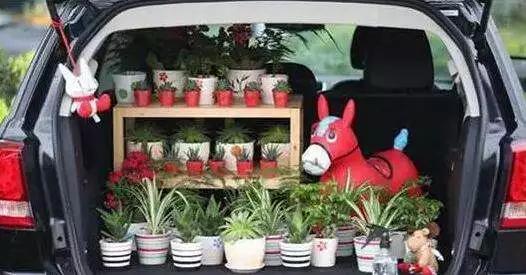 厦门摆摊记,厦门后备箱摆摊