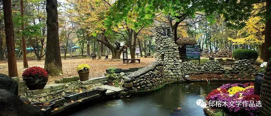 韩国游记完整版视频,韩国游记小说