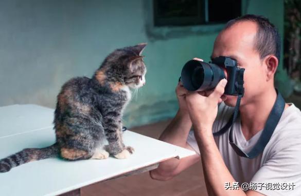 网络上做什么兼职挣钱比较好做,网络做什么兼职最可靠