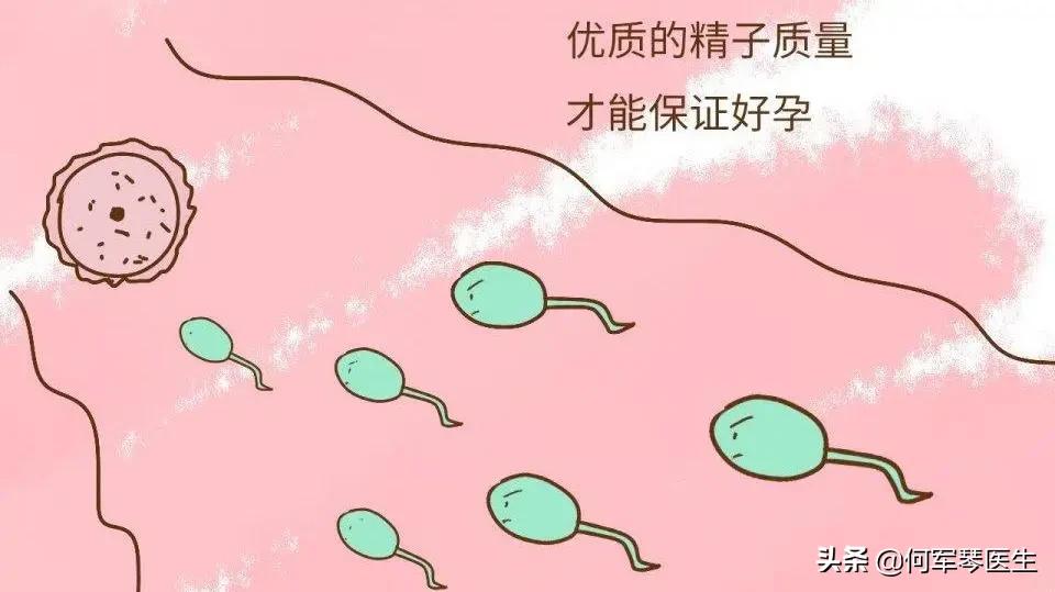 不孕常规检查有哪些,不良妊娠后需要查精子吗