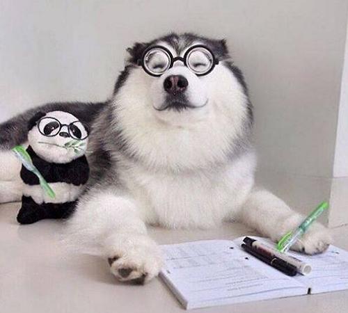 卧室做双眼皮吊顶会掉吗,关于双眼皮的十个问题