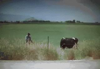 95式自动步枪被爆头危险的原因,95步枪连发打不了为什么