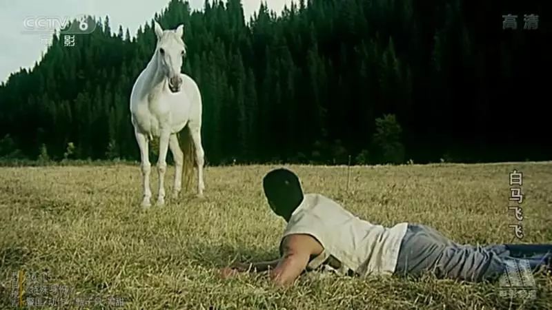 战马颜色,战马的区别