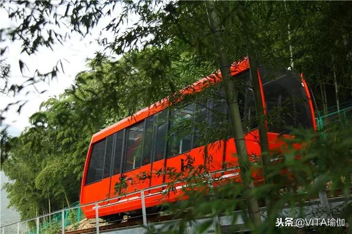 禅修茶道瑜伽馆,禅修疗愈馆