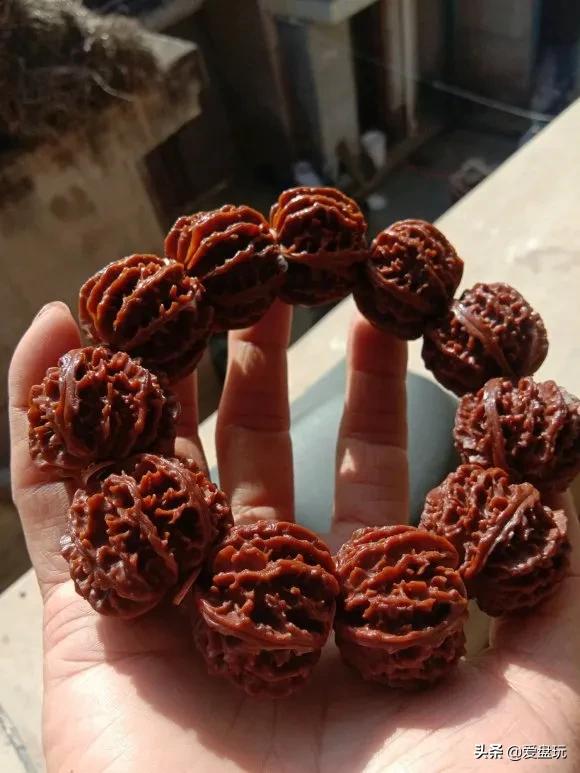 它是核桃圈的“虐手扛把子”，敢上手盘的，都是铁汉子