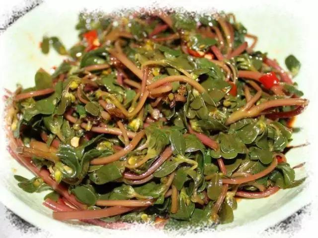 家常菜15道菜客家菜,客家菜太好吃了怎么形容