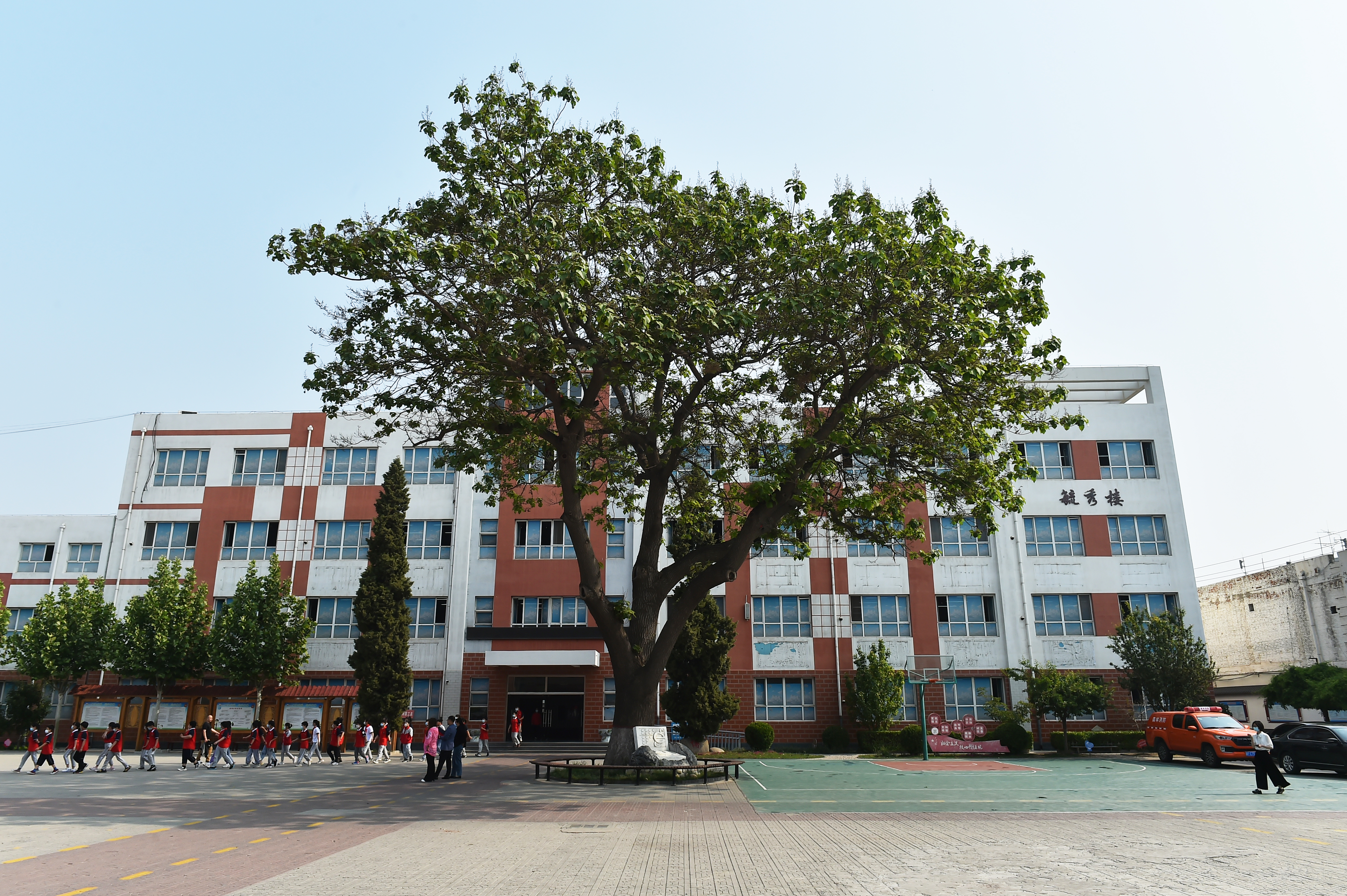 安新第二小学,绿树成荫倪邱中学校园