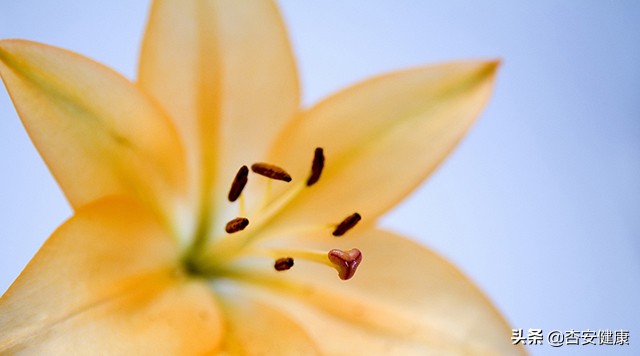 黄圆媛讲过敏益生菌,黄圆媛儿童过敏