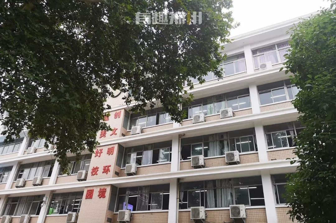 狂吃干脆面也能赚大钱，三十年前郑州小土豪已经这么干了