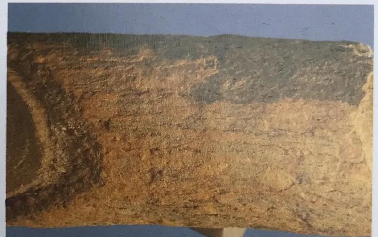 中草药牙膏两面针成分,两面针牙膏的功效和作用