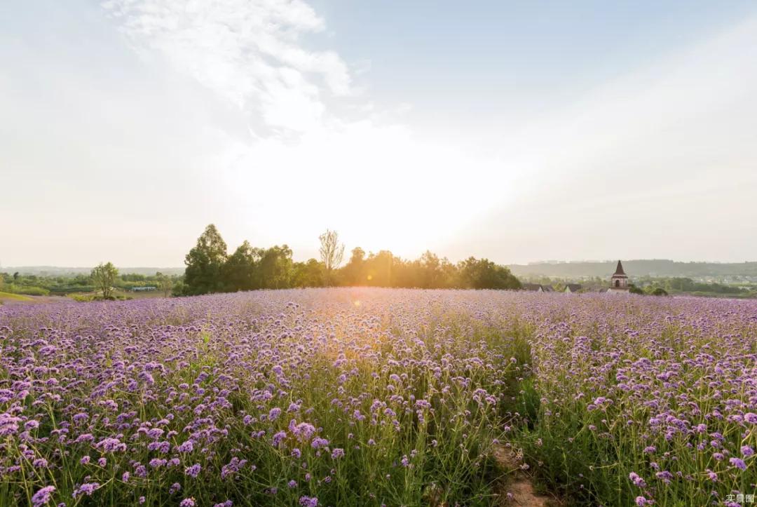 房价不破万的二线城市,城南性价比楼盘排行榜最新
