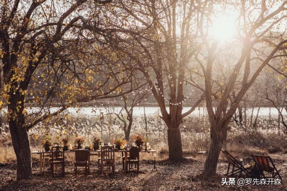 宁夏中卫装修设计,中卫私人民宿装修