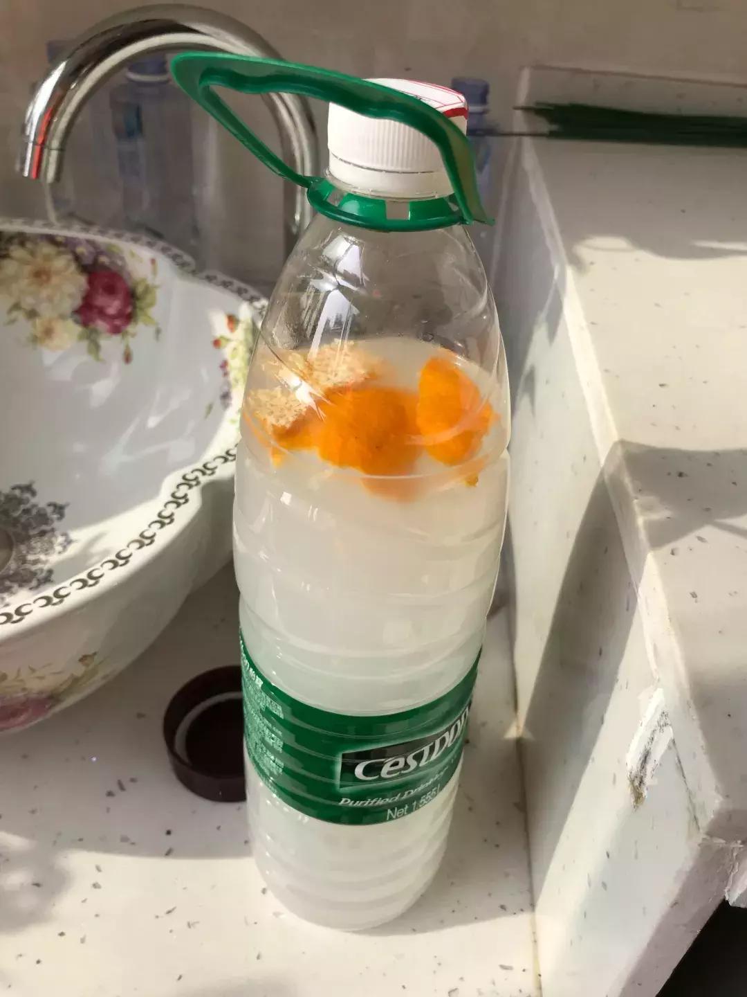 牛奶过期能浇哪些花卉植物,牛奶过期了怎么处理浇绿植