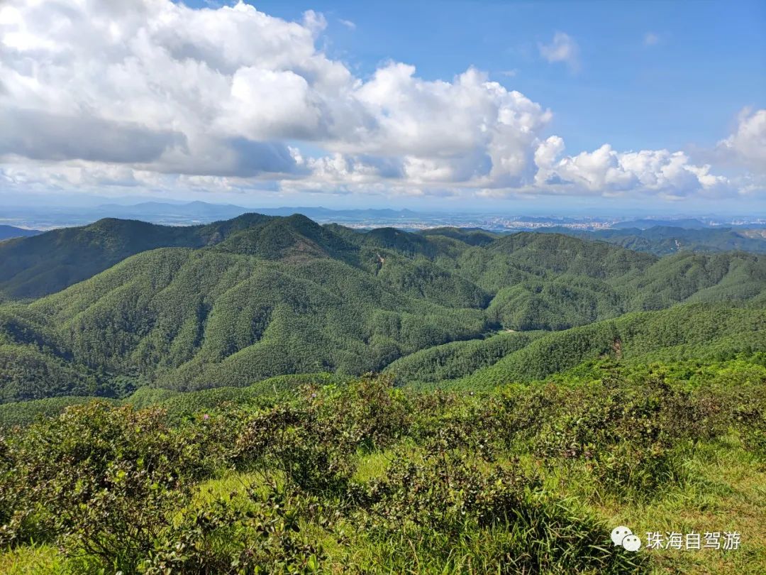 大山峰水牛坪露营记,东岸岭露营徒步