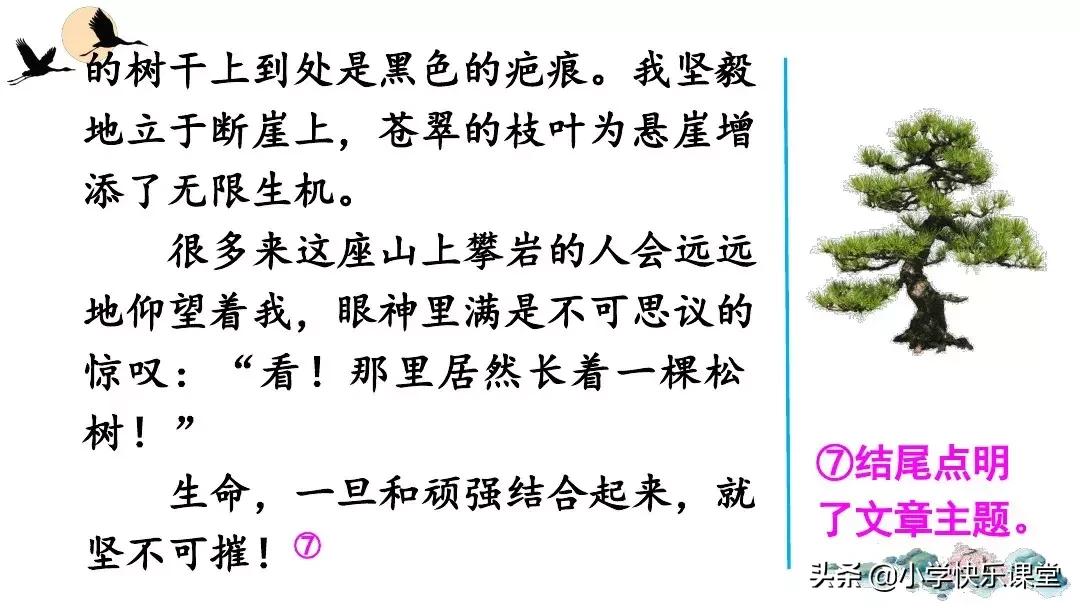 部编版六年级语文习作变形记,部编版六年级上册作文变形记教案