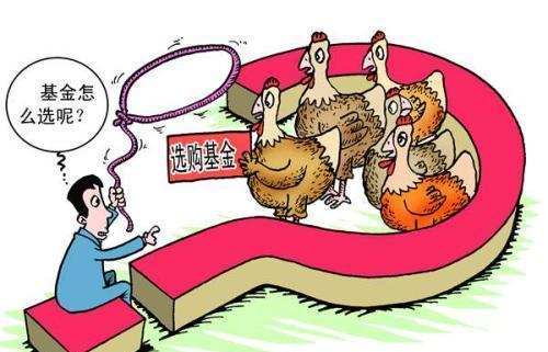 新手如何挑选宽基指数基金,如何挑选指数基金做定投