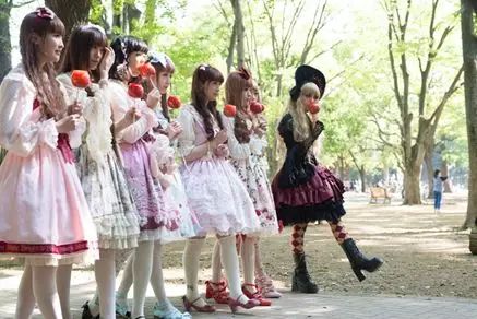 lolita日牌点评,经典日牌lolita有哪些